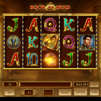 WildRobin Casino - Book of Dead Slot Game - Play'n GO