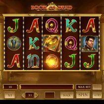 WildRobin Casino - Book of Dead Slot Game - Play'n GO