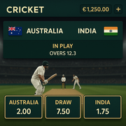 WildRobin Casino - Cricket Betting - International Cricket
