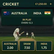 WildRobin Casino - Cricket Betting - International Cricket